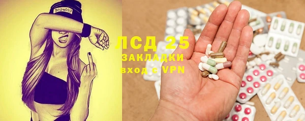 соль ск Алексин