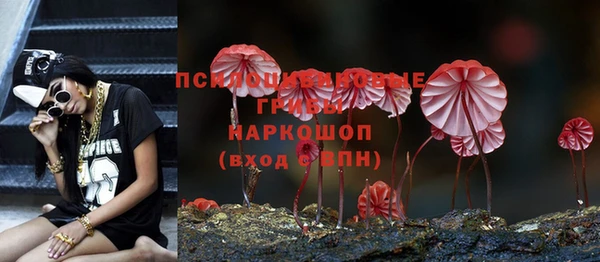 a pvp Приозерск
