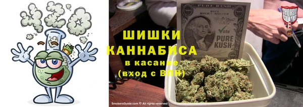 соль ск Алексин