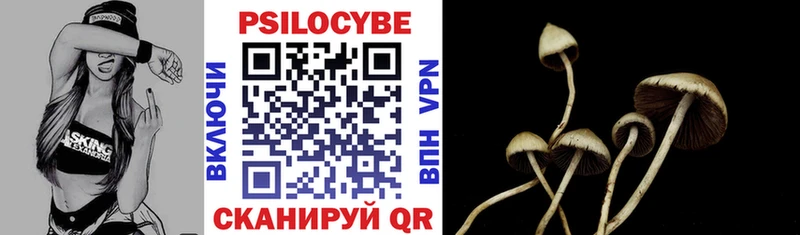 Псилоцибиновые грибы Cubensis  Карабулак 